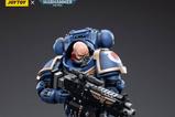 12-Warhammer-40k-Figura-118-Ultramarines-Heavy-Intercessor-Aetus-Gardane-13-cm.jpg