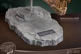 06-Wonders-of-the-Wild-Series-Estatua-Spinosaurus-Head-Skull-30-cm.jpg
