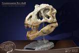 05-Wonders-of-the-Wild-Series-Estatua-TRex-Head-Skull-30-cm.jpg