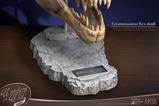 10-Wonders-of-the-Wild-Series-Estatua-TRex-Head-Skull-30-cm.jpg