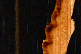 03-WoodArt-3D-Jurassic-Park.jpg