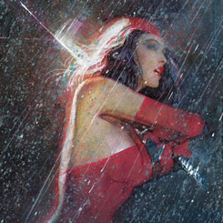 Deslumbrante Póster realizado en metal de Elektra in the Rain The Devil of Hells Kitchen Collection, el Póster tiene un tamaño aproximado de 45 x 32 cm.,