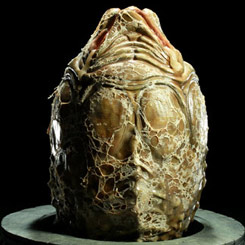 Réplica Edición Limitada del Huevo de Alien ´Alien Egg´  aparecido en la película de 2004 Alien Vs Predator a escala real 1/1.