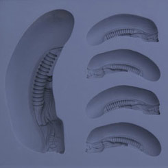 Fantástico molde de silicona con la forma de la cabeza de Alien (Big Chap de Alien). El molde tiene unas dimensiones aproximadas de 16 x 11 x 3 cm.