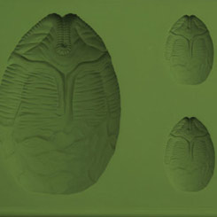 Fantástico molde de silicona con la forma del Huevo de Alien (Egg Pod de Alien). El molde tiene unas dimensiones aproximadas de 16 x 11 x 3 cm.