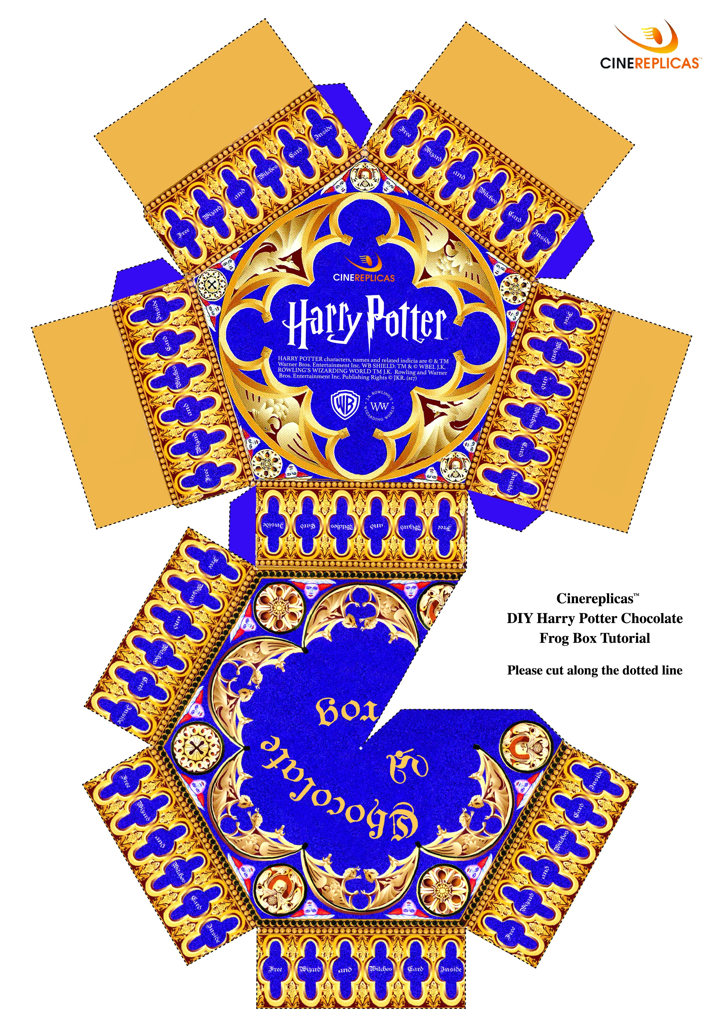 Molde rana de chocolate de Harry Potter- Envío en 24 horas