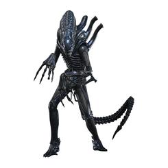 La pesadilla biomecánica abandona la oscuridad con la figura Hot Toys Alien Warrior Deluxe 1/6, una presencia de 38,5 cm preparada para dominar la vitrina. Esta figura Hot Toys Alien Warrior Deluxe 1/6 celebra el 40 aniversario de Aliens 
