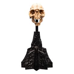Incorpora un toque de oscuridad y misticismo a tu colección con la estatua Skull of a Moria Orc de El Señor de los Anillos. Esta pieza de polystone, finamente detallada, refleja la tenebrosa presencia de los orcos de Moria.