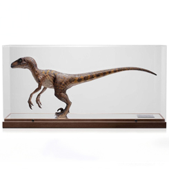 Experimenta la grandeza y la inteligencia cautivadora del Velociraptor en tu propio espacio con la Jurassic Park Statue 1/4 Velociraptor Clever Girl de 49 cm (Con Estuche Acrílico). Inspirada en la inolvidable escena de Jurassic Park 