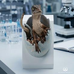 La cáscara se abre y el depredador más inquietante de Isla Nublar parece despertar delante de ti. La réplica Velociraptor Hatching Egg Jurassic Park captura ese instante de asombro y tensión con una composición vertical que dirige la mirada hacia el ojo