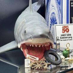 Revive la emoción del clásico Jaws con esta increíble figura articulada de 38 cm, inspirada en The Game of Jaws por su 50º aniversario. Con un esculpido detallado y una pintura meticulosa, este temible tiburón 